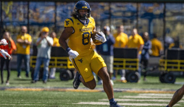 West Virginia Mountaineers