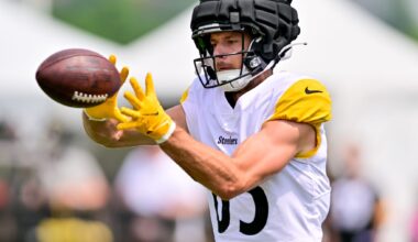 Former Steelers Wide Receiver Lands Back in NFC