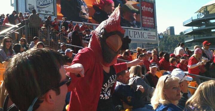 Friday afternoon Cardinal news and notes