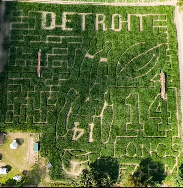 The Long Family Orchard & Farm's corn maze design shows off their Detroit Lions spirit.