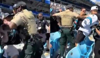 Chaos At Carolina Panthers Game: Out-Of-Control Fans Fight With Police During Wild Scene In The Stands [VIDEO]