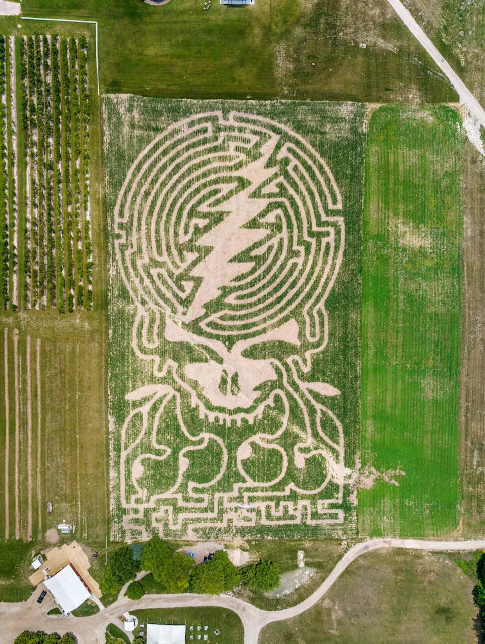 Jacob's Farm in Traverse City offers an intricate maze for guests to get lost in for the 2025 season.