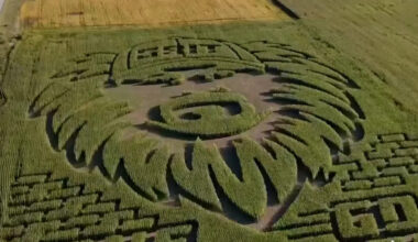 Yahoo lifestyle home