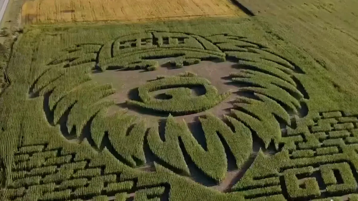 Yahoo lifestyle home