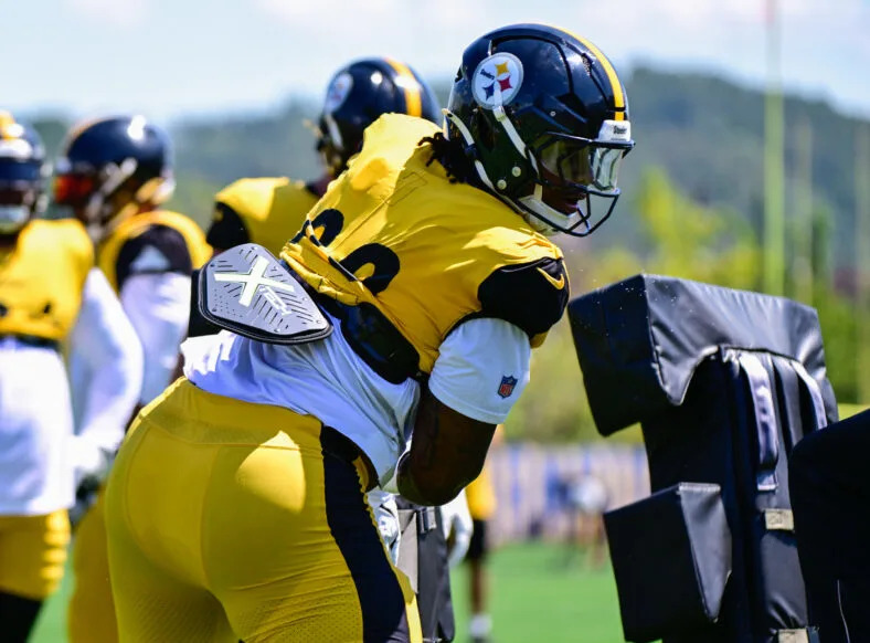 Pittsburgh Steelers OLB DeMarvin Leal