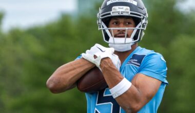 Titans rookie wide receivers Elic Ayomanor, Chimere Dike secure prominent roles | Football