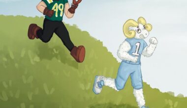 Bill Belichick comes to Charlotte as 49ers start home slate | Sports