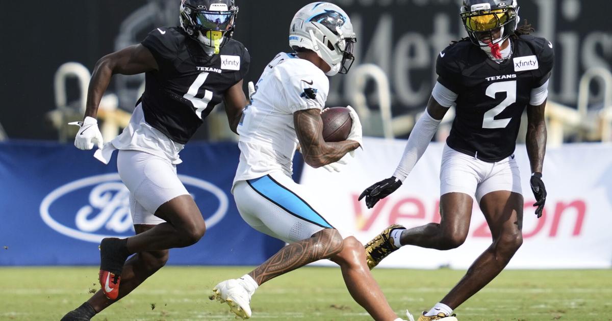 Panthers encouraged by rookie WR's performance in team's season opener - Rocky Mount Telegram