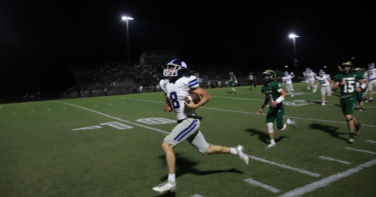 Hope Show as Bears Roar On | Sports