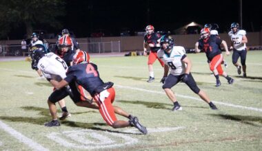 Tigers extend winning streak to six with victory | Sports