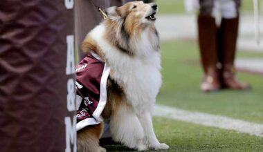 Former First Lady of Aggieland, previous Texas A&M mascot Reveille IX dies