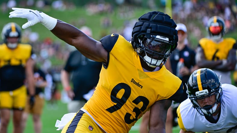 Pittsburgh Steelers LB Mark Robinson