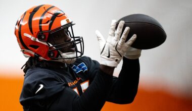 LB claimed off Bengals' practice squad
