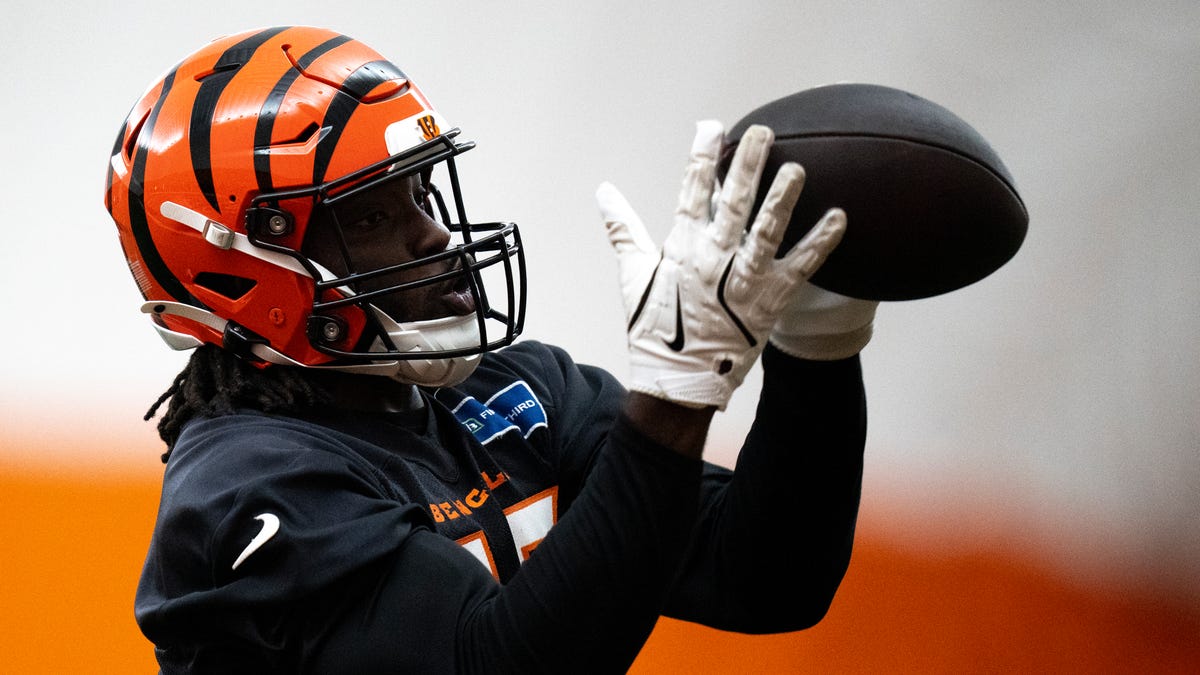 LB claimed off Bengals' practice squad