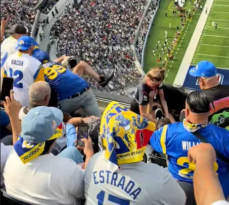 Rams and Texans fans fought during the game Sunday at SoFi Stadium. @Brian.bowie43/TikTok