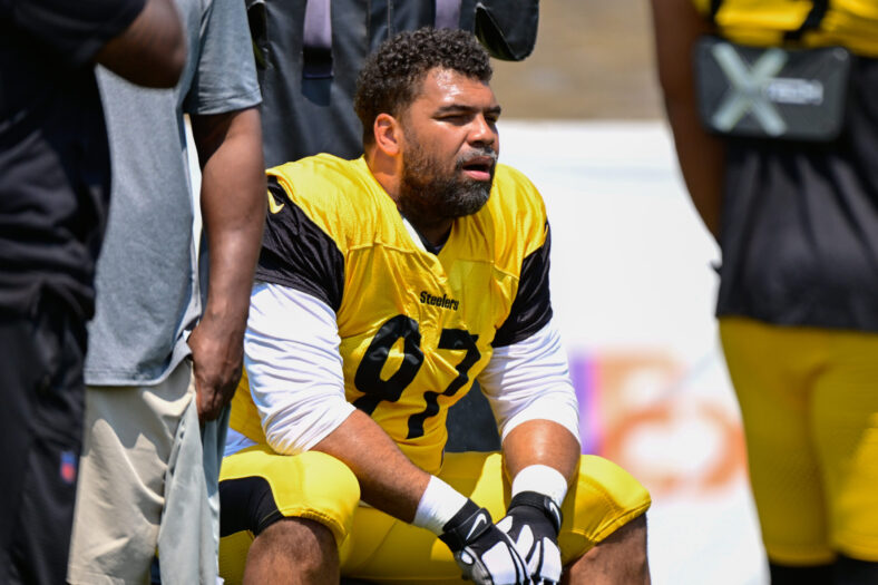 Steelers defensive tackle Cam Heyward