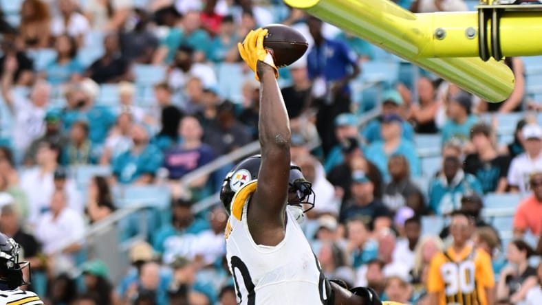 Pittsburgh Steelers TE Darnell Washigton