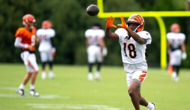 Jets sign Isaiah Williams from Bengals' practice squad