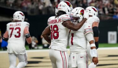 Carolina Panthers vs Arizona Cardinals picks, odds for NFL Week 2 game