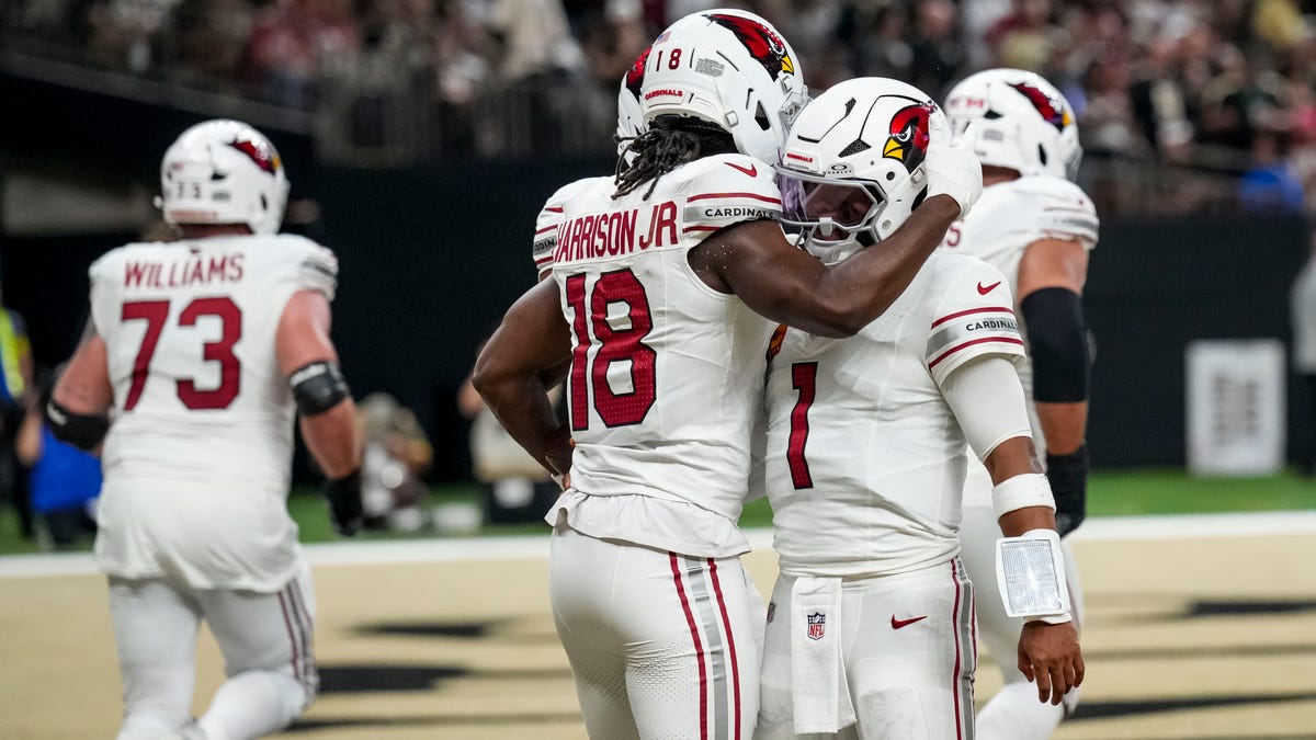 Carolina Panthers vs Arizona Cardinals picks, odds for NFL Week 2 game