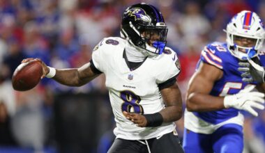 NFL bans fan who shoved DeAndre Hopkins and Lamar Jackson