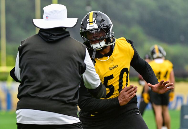 Pittsburgh Steelers LB Malik Harrison