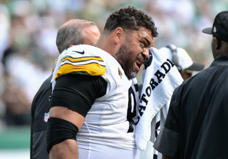 Steelers defensive tackle Cam Heyward
