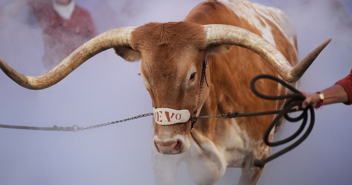 From Bevo to Ralphie, live animal mascots inspire fans and create deep connections in CFB