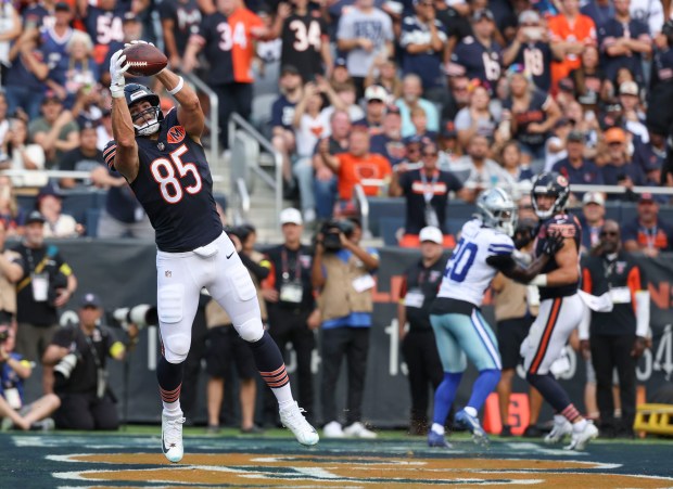 Chicago Bears tight end Cole Kmet (85) catches a touchdown...