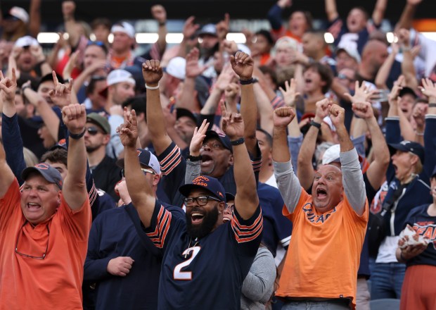 Chicago Bears fans celebrate a second interception by middle linebacker...
