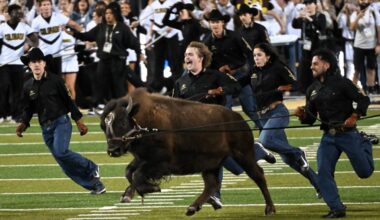Colorado 37 Wyoming 20 in NCAA Football – Boulder Daily Camera