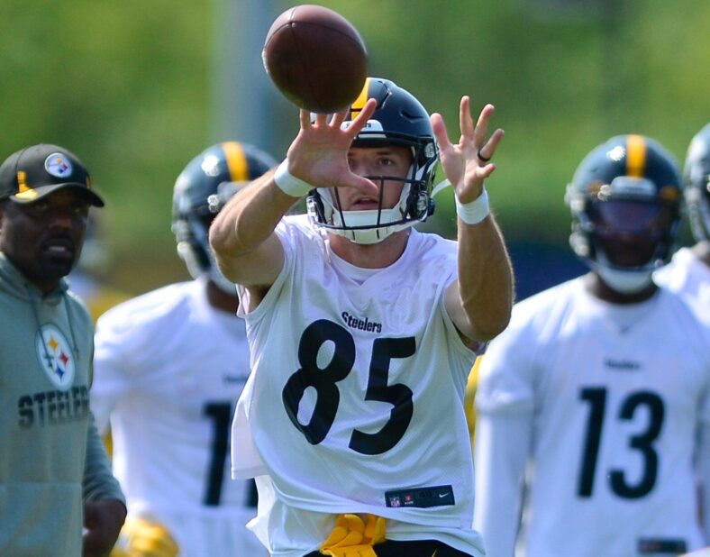 Steelers WR Dan Chisena