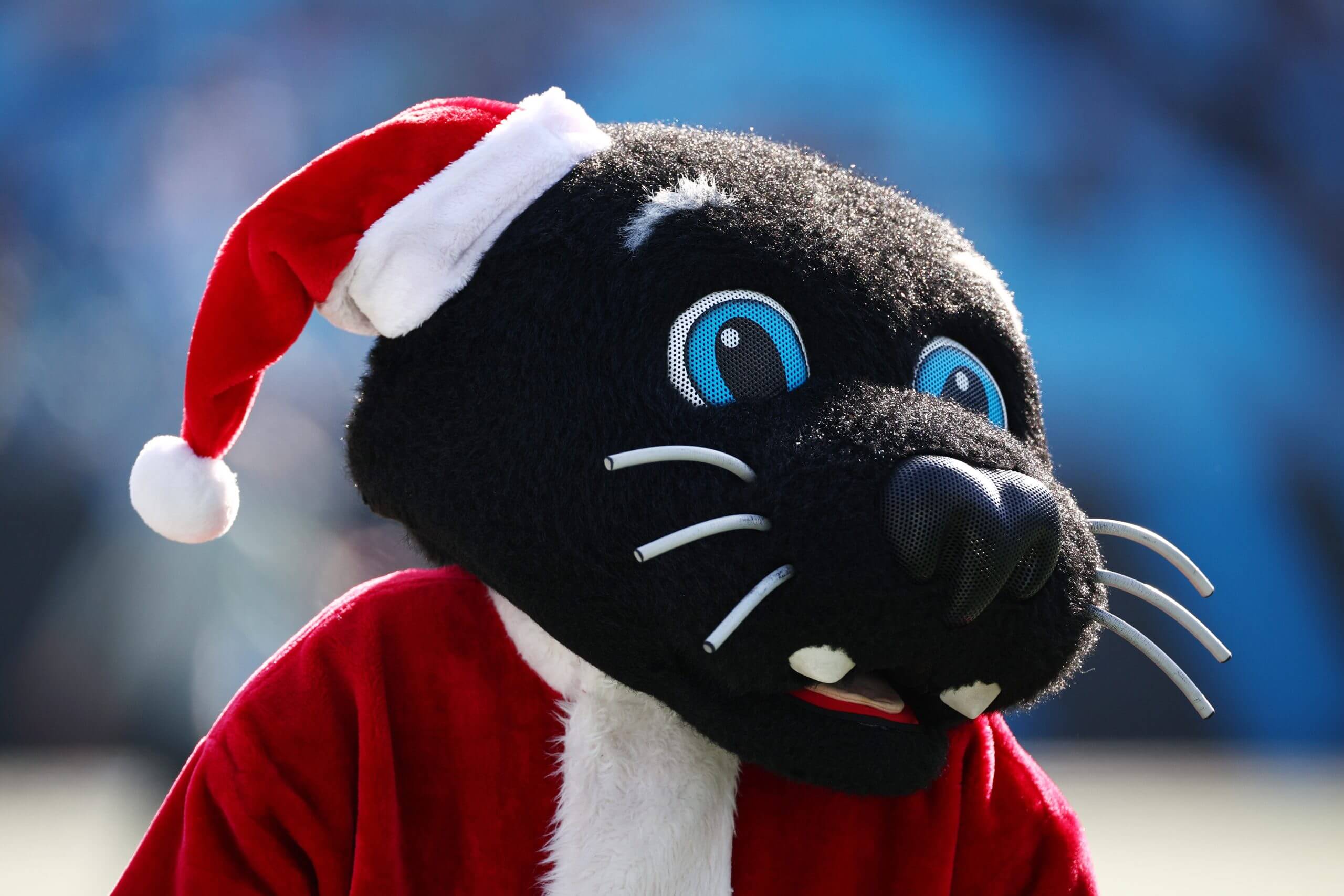 Robbie Chosen didn't know who Sir Purr is, but we've always known. (Jared C. Tilton / Getty Images)