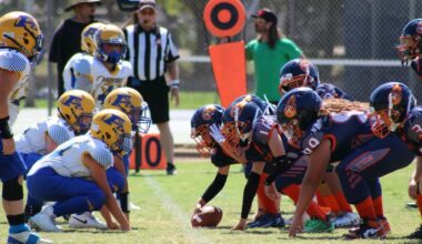 Titans 10U Steamrolls Cubs | The Gridley News