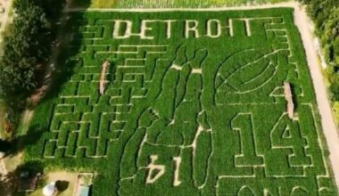 Commerce Township farm has new twist on Lion’s touchdown celebration – The Oakland Press