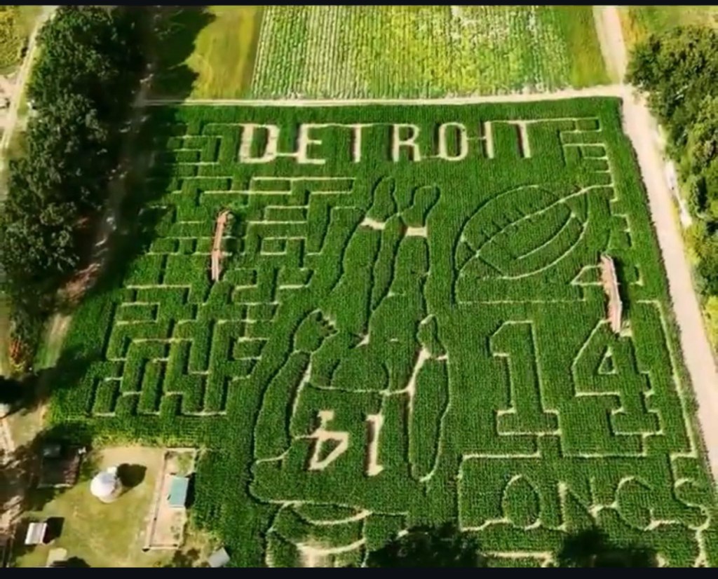 Commerce Township farm has new twist on Lion’s touchdown celebration – The Oakland Press