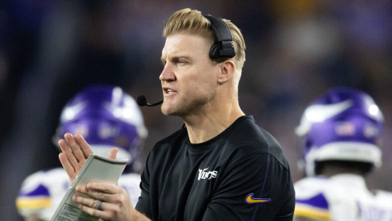 Josh McCown, Minnesota Vikings