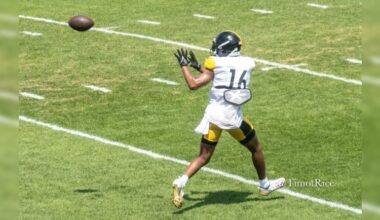 Steelers release Robert Woods