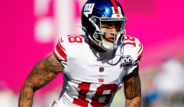 Pittsburgh Steelers sign big-bodied former Giants wide receiver