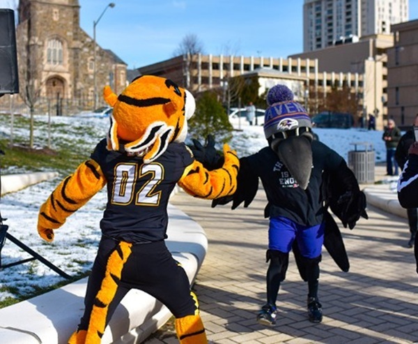 Towson University Baltimore Ravens Poe