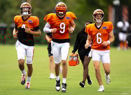 minnesota vikings desmond ridder