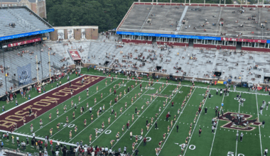 Untitled design (39)