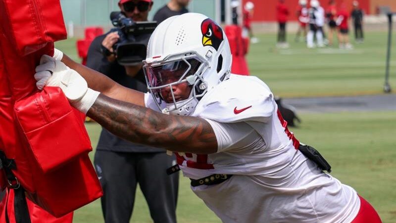 Cardinals' Jordan Burch...