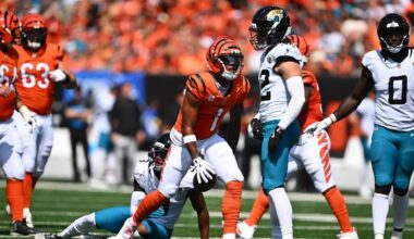 'I'm Going To Give You A Chance And Go Down Swinging'