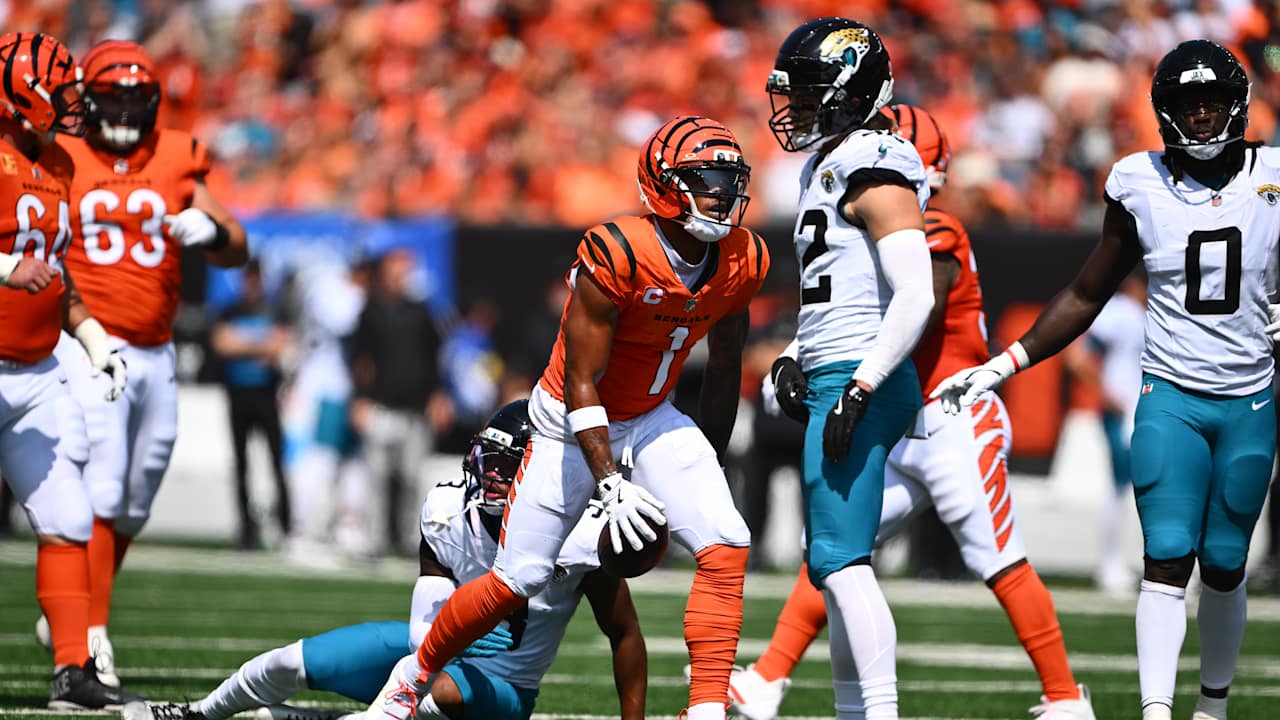 'I'm Going To Give You A Chance And Go Down Swinging'