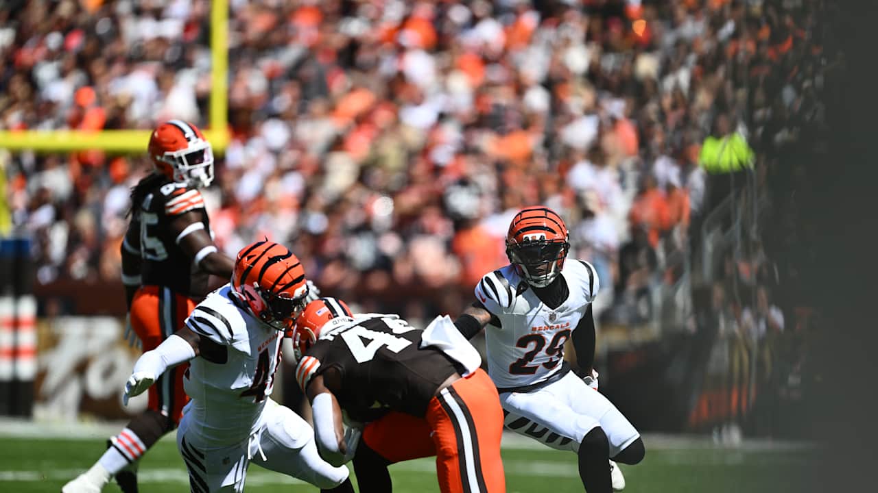 'Worship My Defense Right Now.' 