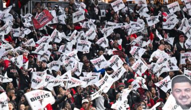 Carolina Panthers vs Atlanta Falcons: Week 3 NFL opening odds