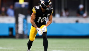 Should the Steelers play Roman Wilson more?