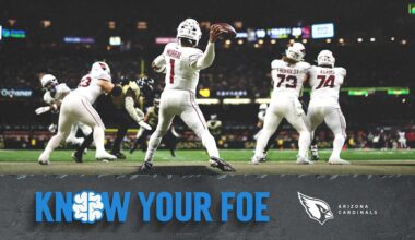 Know Your Foe: Arizona Cardinals - Panthers.com