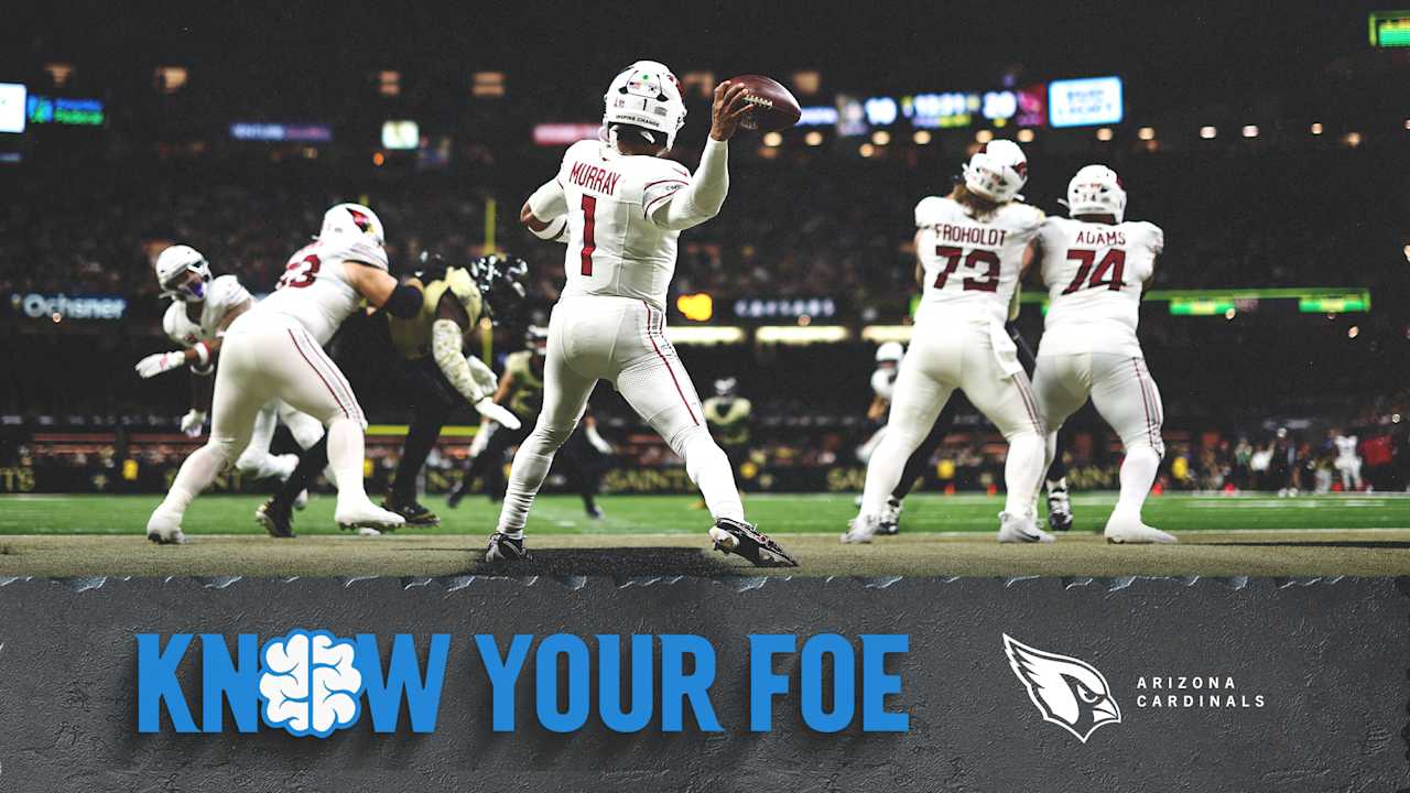 Know Your Foe: Arizona Cardinals - Panthers.com